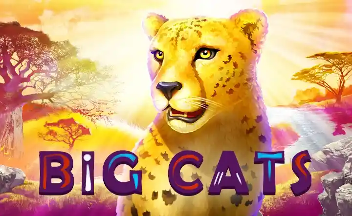 Big Cat Slot: %s